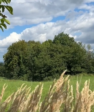 S&oacute;jka i kawka! Powodzenia!