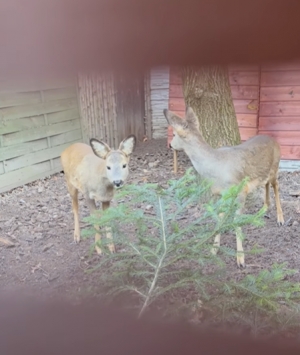 Chwila z przyrodą z Mysikr&oacute;lika!