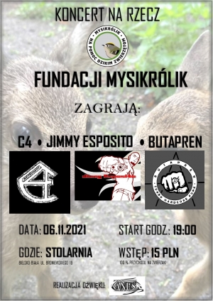 Koncert na rzecz Fundacji Mysikr&oacute;lik