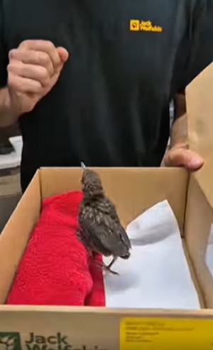 Czy zwykłe pudełko może pom&oacute;c w ratowaniu życia???