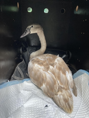 Świątek, piątek i niedziela&hellip;