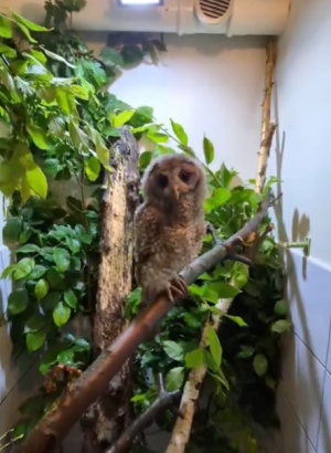 Pok&oacute;j przygotowany, muzyka gra, więc można zacząć sowie pląsy.