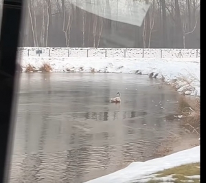 Trudna akcja na terenie stacji uzdatniania wody AQUA w Kobiernicach.