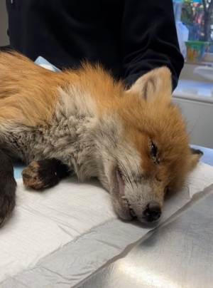 Nie wr&oacute;żymy z fus&oacute;w!