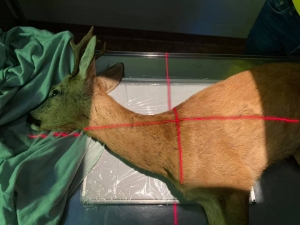 &bdquo;Light at the end of the tunnel&rdquo;