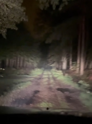 Panowie Leśnicy z Zabrzega proszę sprzątać na swoim podw&oacute;rku!