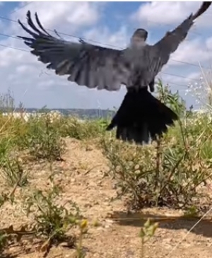 Pierwszy dzień &bdquo;lata&rdquo;☀️na wolności!