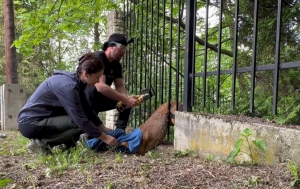 My i nasze twierdze&hellip;