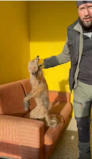 Rudy sylwestrową noc spędził z nami w Mysikr&oacute;liku.